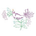 ALW005 Flight of Fantasy