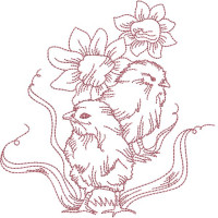 ALW112 Always Chicks