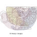 ALW556 Zentangle Cups