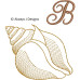 ALW571 Sea Shell Alphabet
