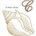 ALW571 Sea Shell Alphabet