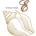 ALW571 Sea Shell Alphabet