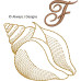 ALW571 Sea Shell Alphabet