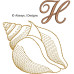 ALW571 Sea Shell Alphabet