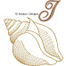 ALW571 Sea Shell Alphabet