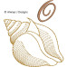 ALW571 Sea Shell Alphabet