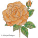 ALW590 Just a Rose