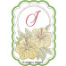 ALW806 Tropical Alphabet