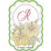 ALW806 Tropical Alphabet