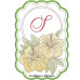 ALW806 Tropical Alphabet