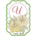ALW806 Tropical Alphabet