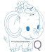 CE0025 Elephant Alphabet