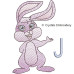 CE0085 Bunny Alphabet