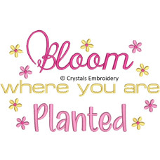 CE0122 Bloom where you are planted