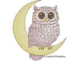 Whimsical Owl