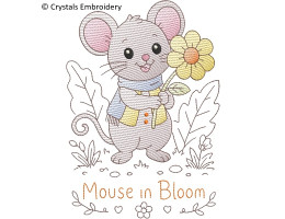 Little Mouse