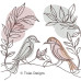 TD0006 Abstract Birds