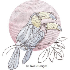 TD0047 Toucans