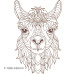 TD0122 Llama