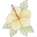 TD0152 Hibiscus