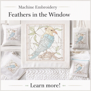 TD0171 Feathers in the Window
